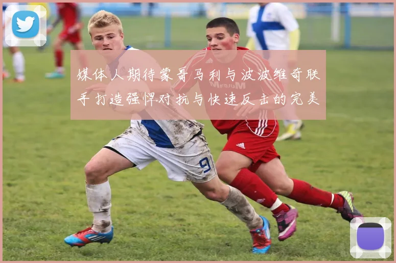 媒体人期待蒙哥马利与波波维奇联手打造强悍对抗与快速反击的完美结合